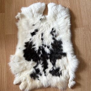 A273 rabbit pelt